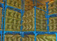 Millwork-zusammenklappbares stapelndes Gestell für Logistik-Mitte, Blau/Orange